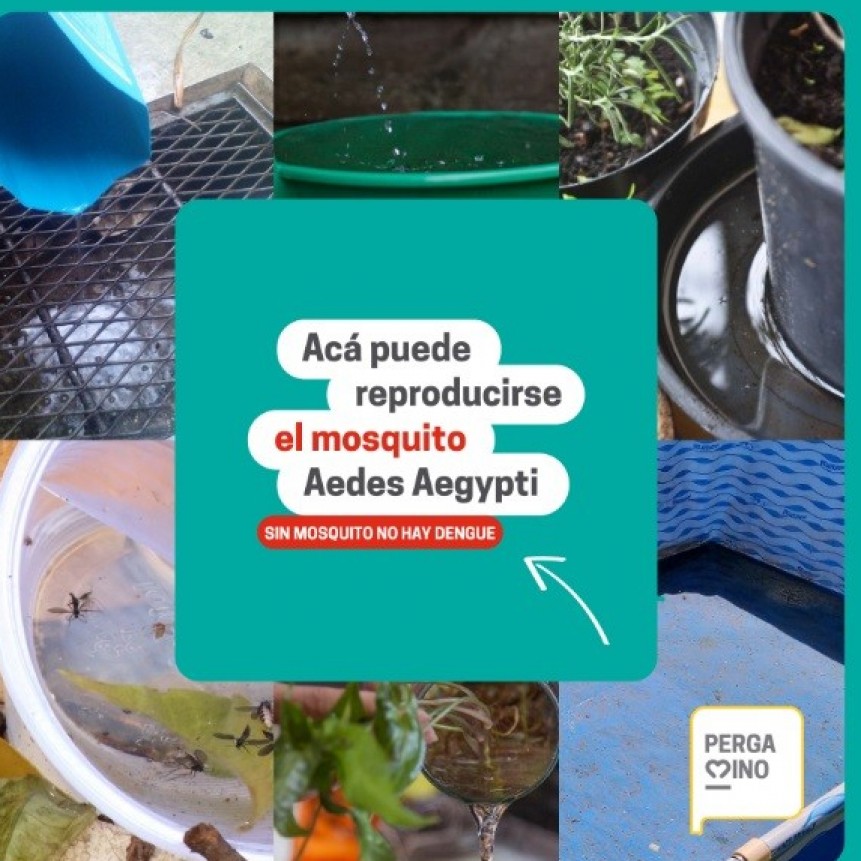 Saneamiento Ambiental brinda recomendaciones para evitar la proliferación de mosquitos