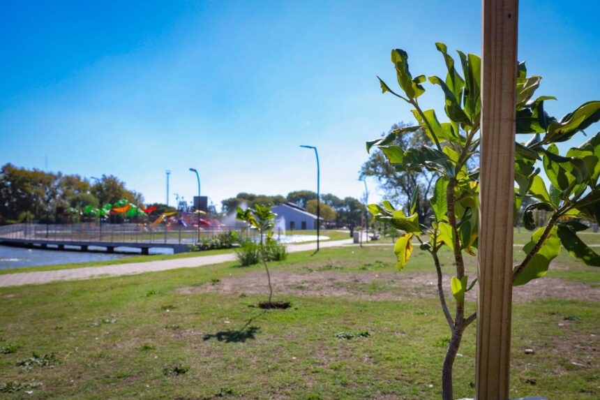 Cupos agotados: Exitosa campaña para fortalecer el arbolado público