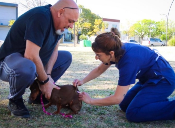 Veterinaria amplía la zona de vacunación antirrábica