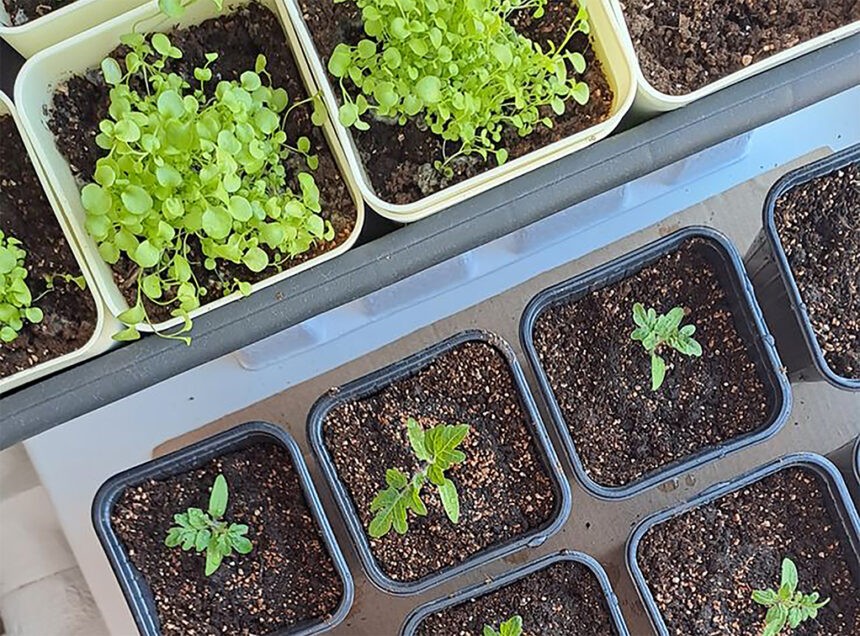 Intercambio sustentable en el Parque Espa&ntilde;a en el Mes del Compostaje