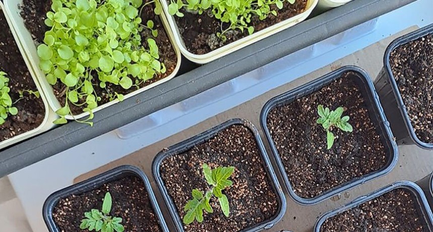 Intercambio sustentable en el Parque Espa&ntilde;a en el Mes del Compostaje