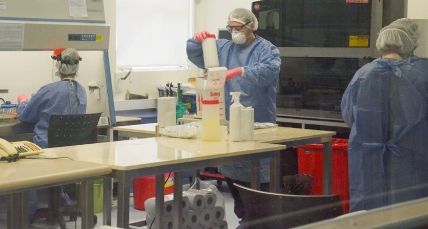 La Provincia recibió 6 mil kits para el diagnóstico de inmunidad 