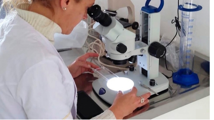 Comenzó la Semana de la Lucha contra la Triquinosis y Bromatología refuerza la campaña anual de prevención
