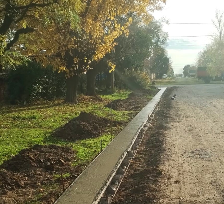 Comenzaron las obras de cord&oacute;n cuneta en La Violeta