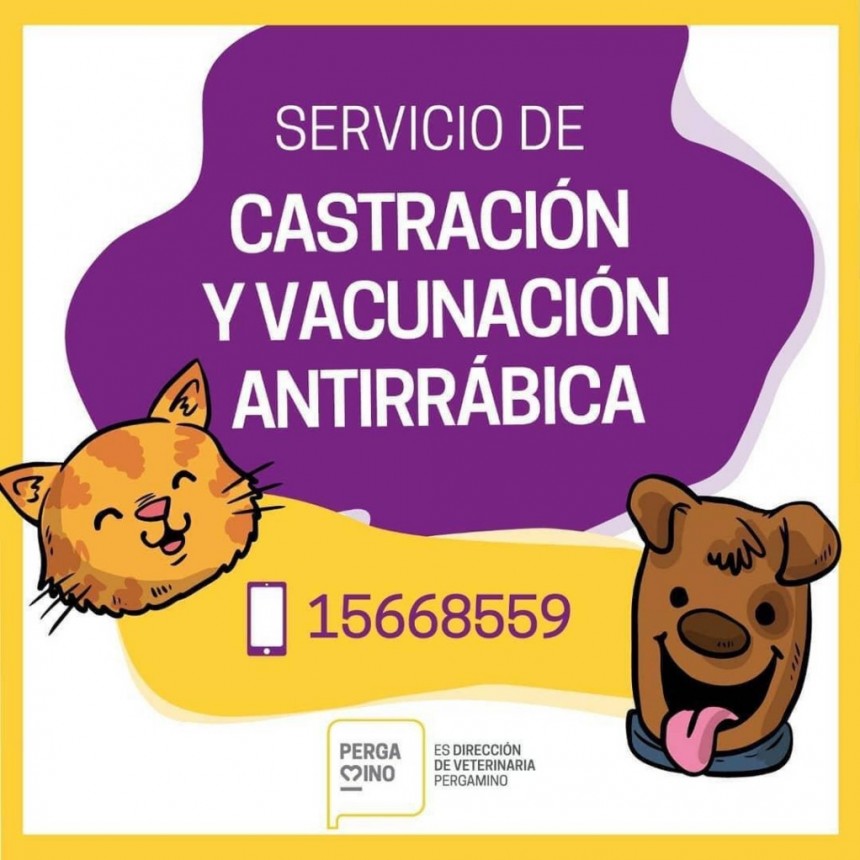 Castración y vacunación antirrábica