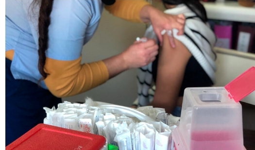 Campaña de vacunación contra la Fiebre Hemorrágica Argentina
