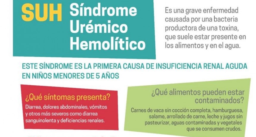 Síndrome Urémico Hemolítico: qué es y cómo prevenirlo