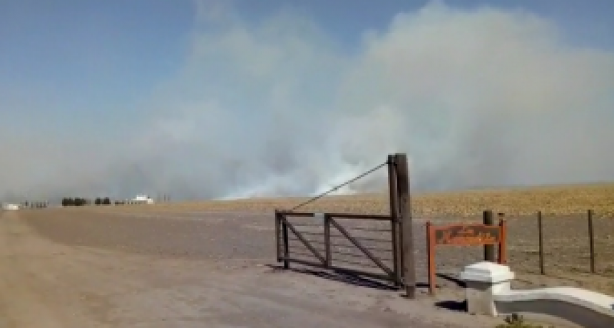 Incendio de grandes dimensiones en una estancia 