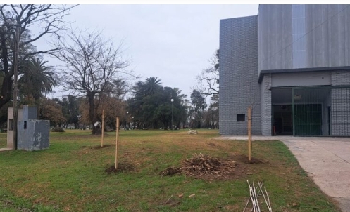 Cuando la reforestación comienza por casa