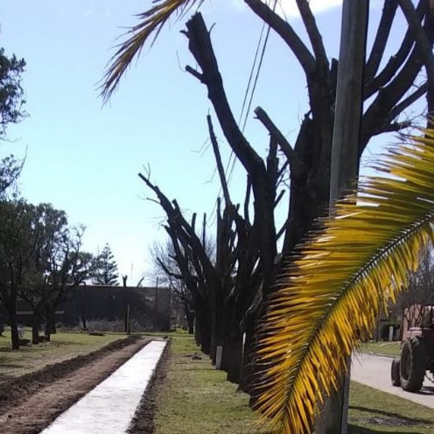 Comenzó la realización de la vereda en la plaza principal del pueblo
