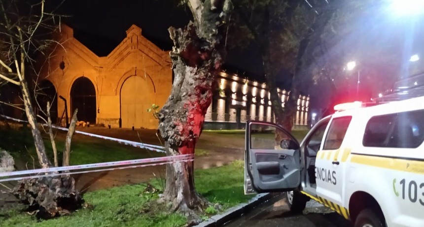 Fuertes vientos en Pergamino