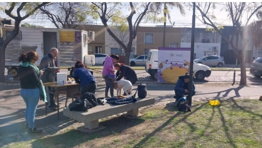 Gran jornada de adopción y tenencia responsable de mascotas