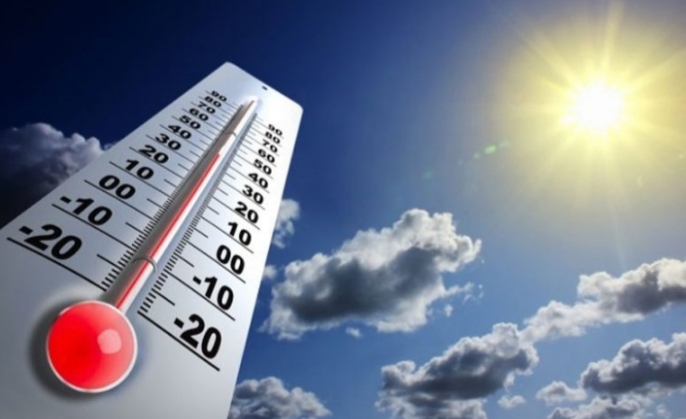 Alerta Amarilla: consejos para evitar los golpes de calor